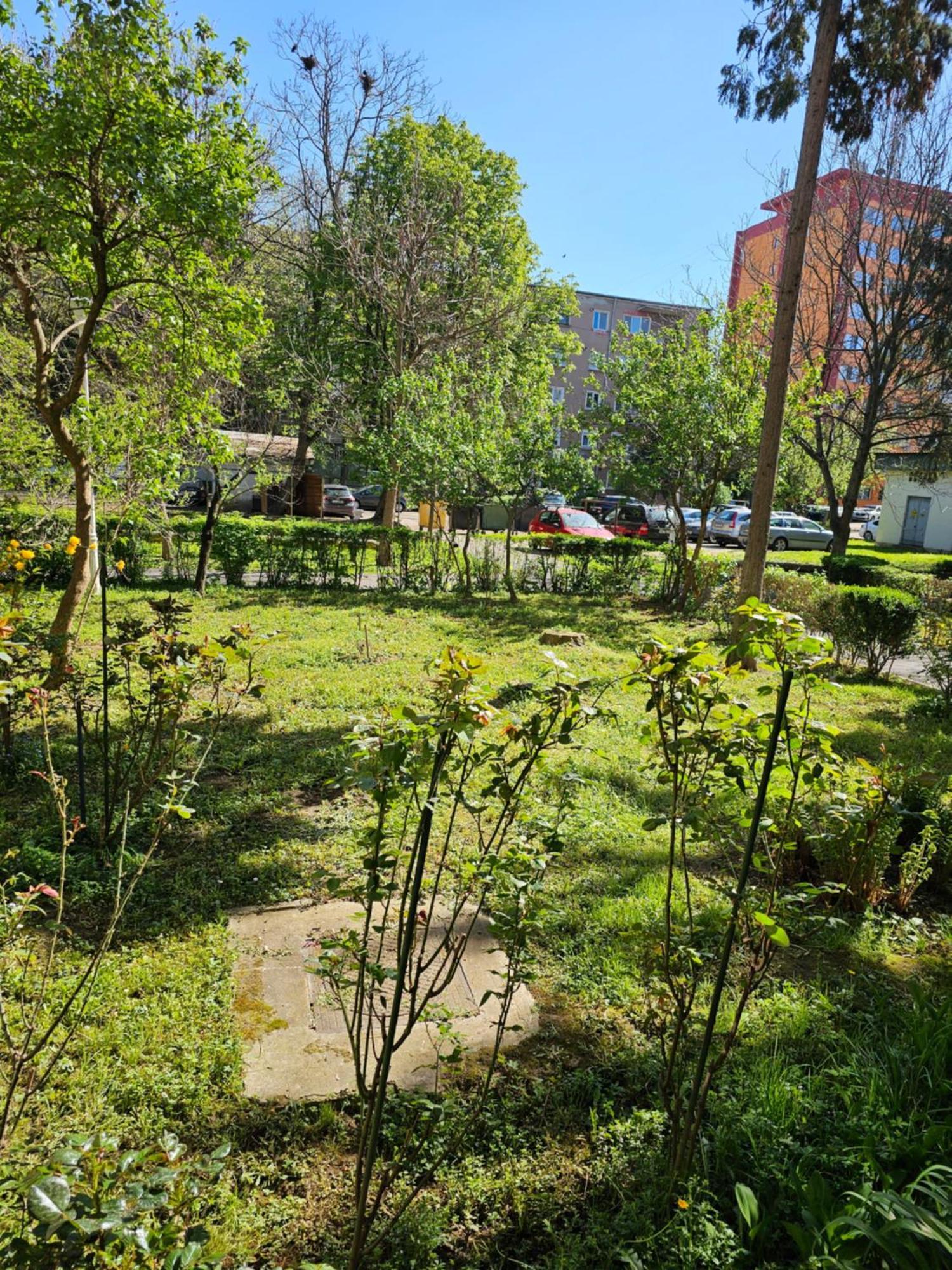 Apartament Alina Дева Экстерьер фото